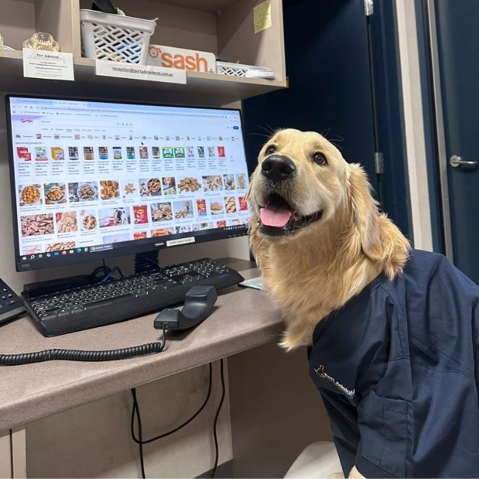 Port Adelaide Veterinary Clinic
